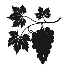 Bunch of grapes on branch with leaves, dark silhouette of grapes on white background.