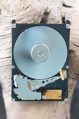 computer hard disk in close-up, disassembled, view inside, computer memory disk