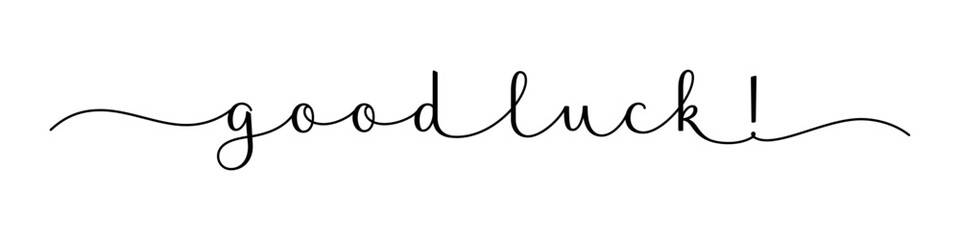 GOOD LUCK! black vector brush calligraphy banner with swashes