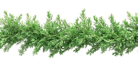 Green garland of tiny leaves