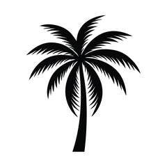 palm tree silhouettes