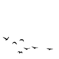Flock of Birds Silhouette in the Sky | Black Bird Group Vector Illustration