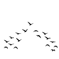 Flock of Birds Silhouette in the Sky | Black Bird Group Vector Illustration