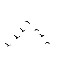 Flock of Birds Silhouette in the Sky | Black Bird Group Vector Illustration