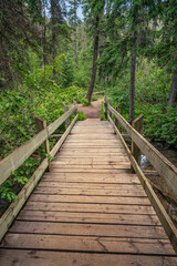 Hiking trail bridge at Olive Lake in Kootenay National Park, British Columbia, Canada