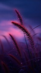 Ethereal Sunset Reflections on Delicate Grasses with Dew Drops and Soft Hues of Purple and Pink Sky
