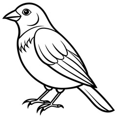 Fine Line Weaver Bird Graphic Art