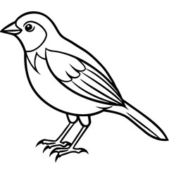 Fine Line Weaver Bird Graphic Art