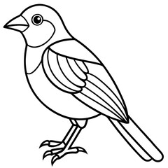 Obraz premium Fine Line Weaver Bird Graphic Art
