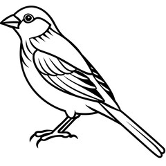 Fine Line Weaver Bird Graphic Art