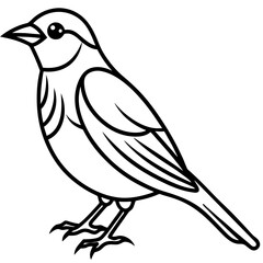 Fine Line Weaver Bird Graphic Art