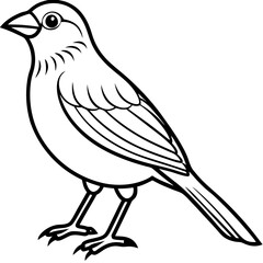 Fine Line Weaver Bird Graphic Art