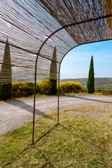 View from the summer gazebo to the thujas and beautiful hills on the horizon. Vertical photo