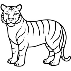 Full Body White Tiger Clean Vector Line Sketch