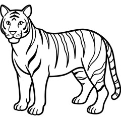 Full Body White Tiger Clean Vector Line Sketch
