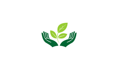 hand holding green plant