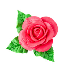 rose à la crème