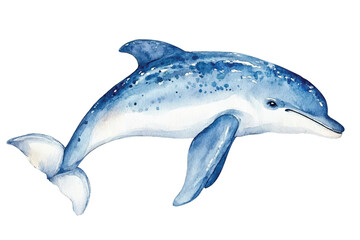 watercolor dolphin vector illustration, underwater ocean animal art isolated on white background