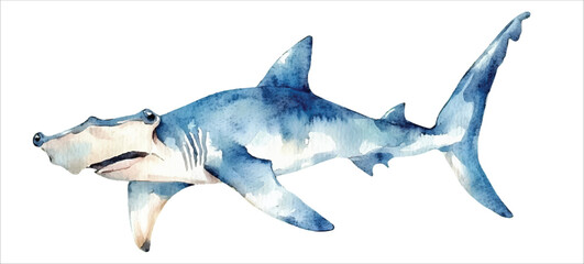 Fish Hammer, Hammerhead shark watercolor vector illustration, underwater ocean animal art isolated on white background