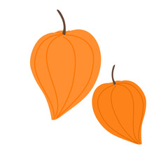 Physalis Fruit (Chinese Lantern Plant)