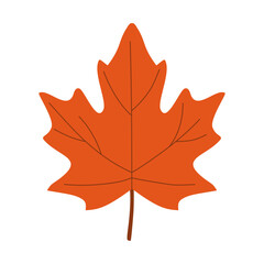 Autum red maple illustration