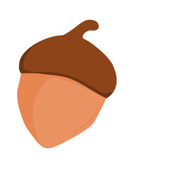 Acorn Illustration