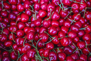 Freshly harvested cherries with vibrant red skin and green stems, piled together for sale at a market.