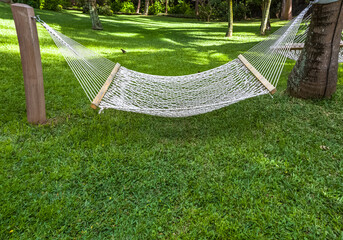 Hamac dans un jardin verdoyant 