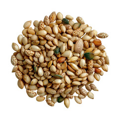 Fototapeta premium Diverse Collection of Various Seeds Displayed Against a White Background for Educational and Creative Use transparent background