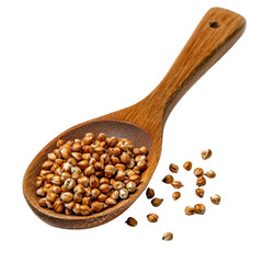 Wood Spoon Filled with Brown Seeds on White Background for Culinary and Natural Cooking Applications transparent background
