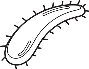 Spiky, Curved Microorganism Line Drawing Illustration