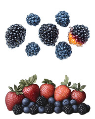 Blackberries and raspberries arranged on white background with fresh mixed berries