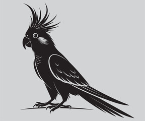 Detailed cockatoo parrot vector illustration, black and white design