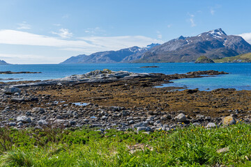 Landschaft auf den Lofoten am Nappstraumtunnelen