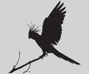 Cockatoo parrot black silhouette vector illustration sitting on a branch © masumdesign