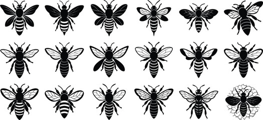 Big Bee Silhouette Vector Set, on white background.