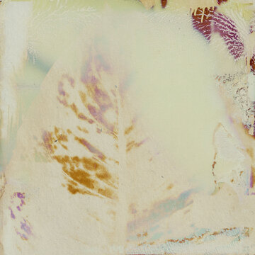 grunge background with leaf