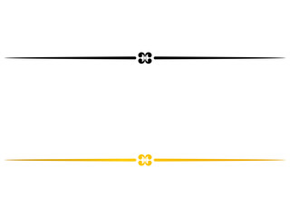 Elegant line divider with central ornament
