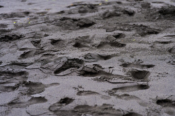 Footprints on black volcanic sand