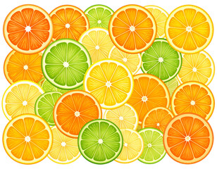 Obraz premium Mixed Citrus Fruit Slices Vector Set.