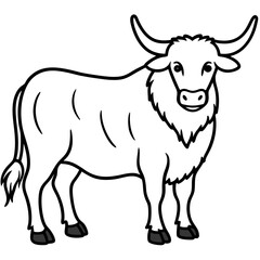 Himalayan Yak Line Art Graphic