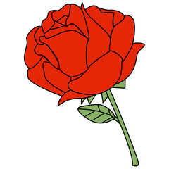 Illustration of a Red rose cartoon style
