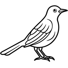Line Art Bird Song Thrush White