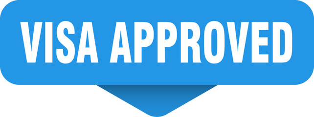 visa approved sticker. visa approved sign on transparent background