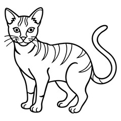 Line Art Sand Cat Illustration