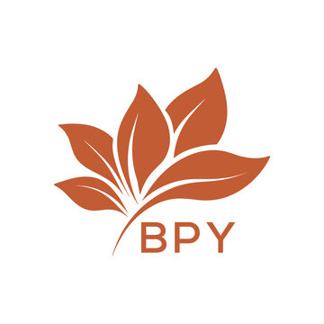 BPY Minimalist Leaf Logo Design with Text BPY, Botanical Nature Logo with Leaves in Brown, BPY Later Logo, Abstract Floral Logo for Natural Products.
