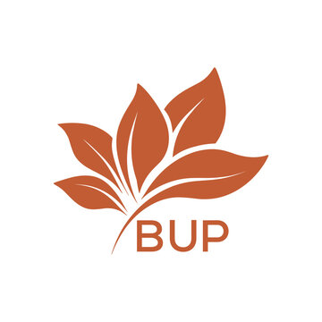 BUP Modern Abstract Botanical Logo with Leaf Motif BUP Later Logo, and Letter mark.
