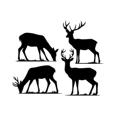 Obraz premium Four deer silhouettes grazing and standing