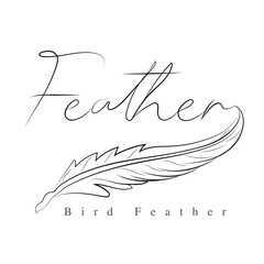Bird Feather vector.eps