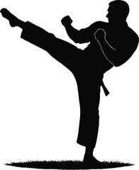 Silhouette of a man performing a powerful martial arts kick, demonstrating strength and dynamic movement